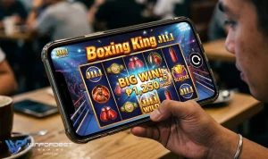 Boxing King JILI Gabay sa Pagpanalo at Karanasan ng Real Player